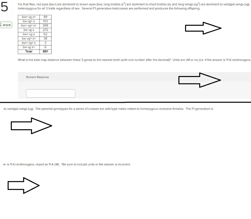 Solved 5 For fruit flies, red eyes (bw+) are dominant to
