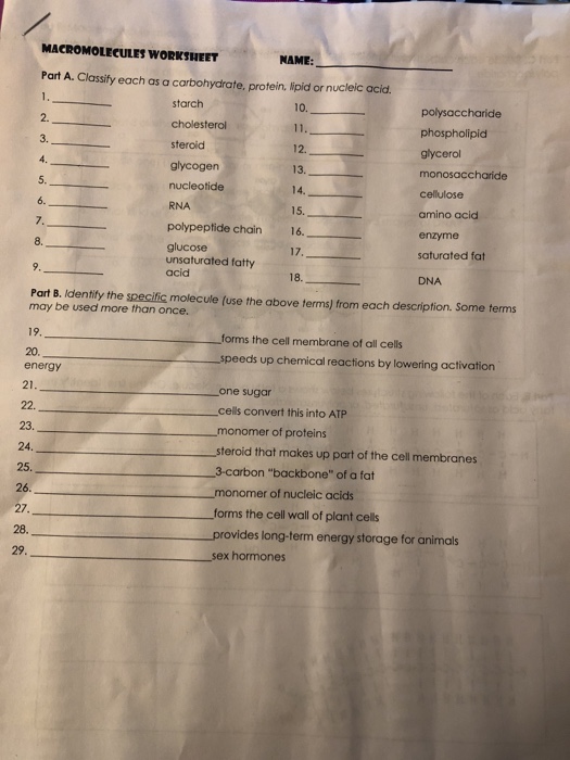 Solved MACROMOLECULES WORKSHEET NAME: Part A. Classify each | Chegg.com
