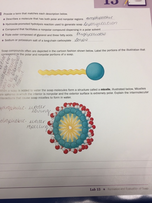 Is Soap Polar Or Nonpolar In Water