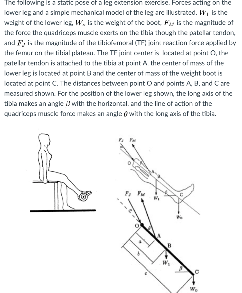 Solved The Following Is A Static Pose Of A Leg Extension 