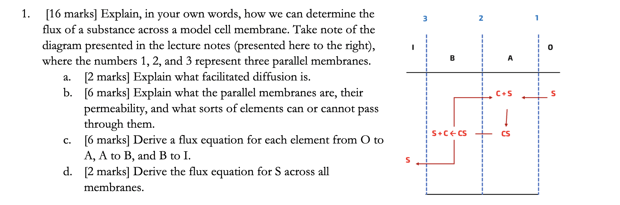 Solved 1. 3 N 1 1 o B A a. C+S S [16 marks] Explain, in your | Chegg.com
