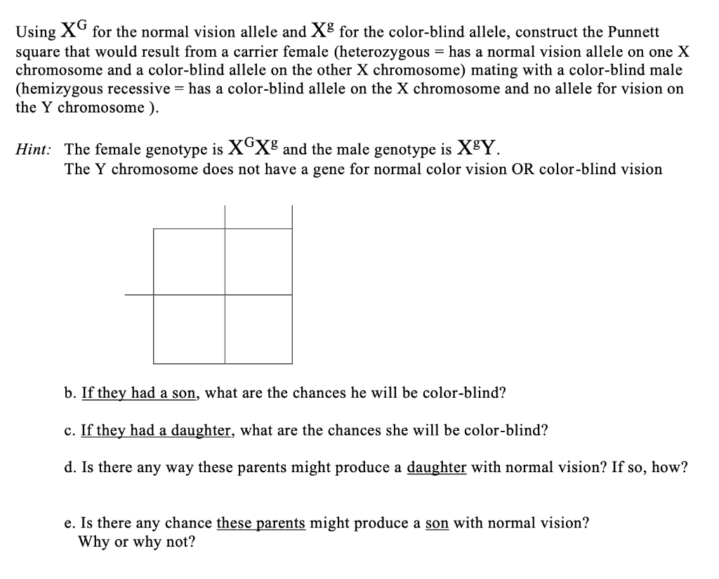Color Blindness Punnett Square