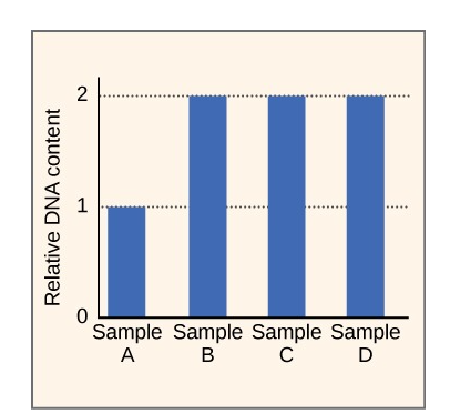 None in Three Research Centre on X: Myth: “It's only domestic