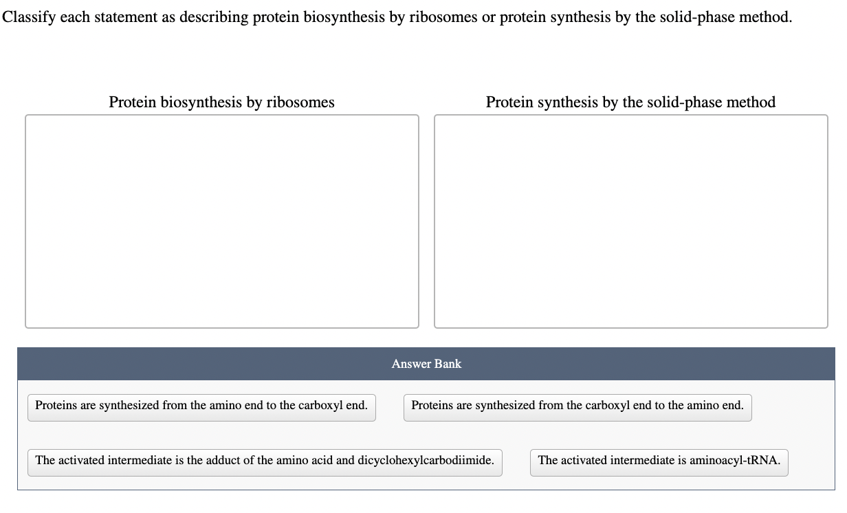 Solved Classify each statement as describing protein | Chegg.com
