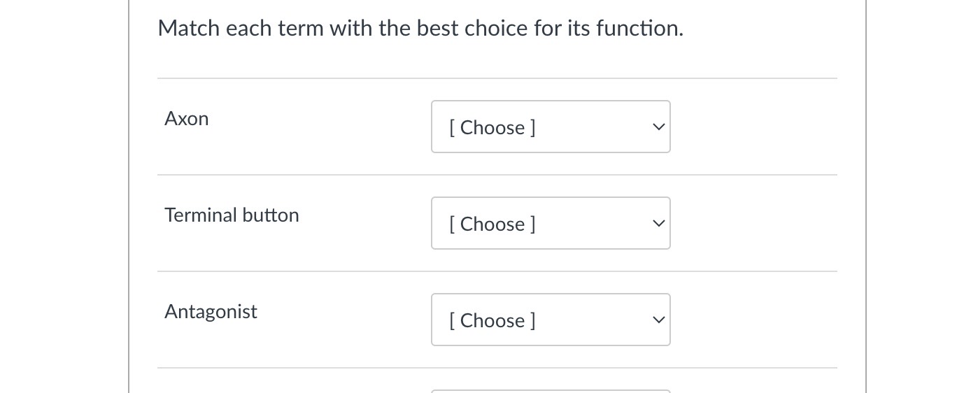 Solved Match each term with the best choice for its