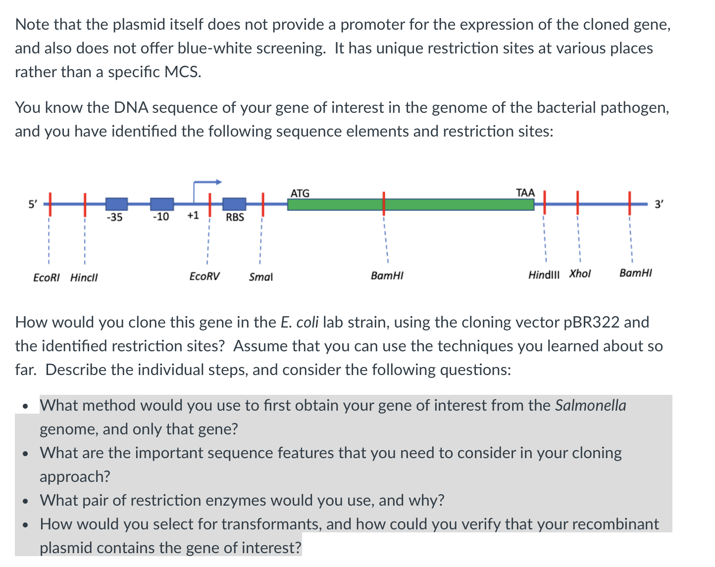 Solved Note that the plasmid itself does not provide a | Chegg.com