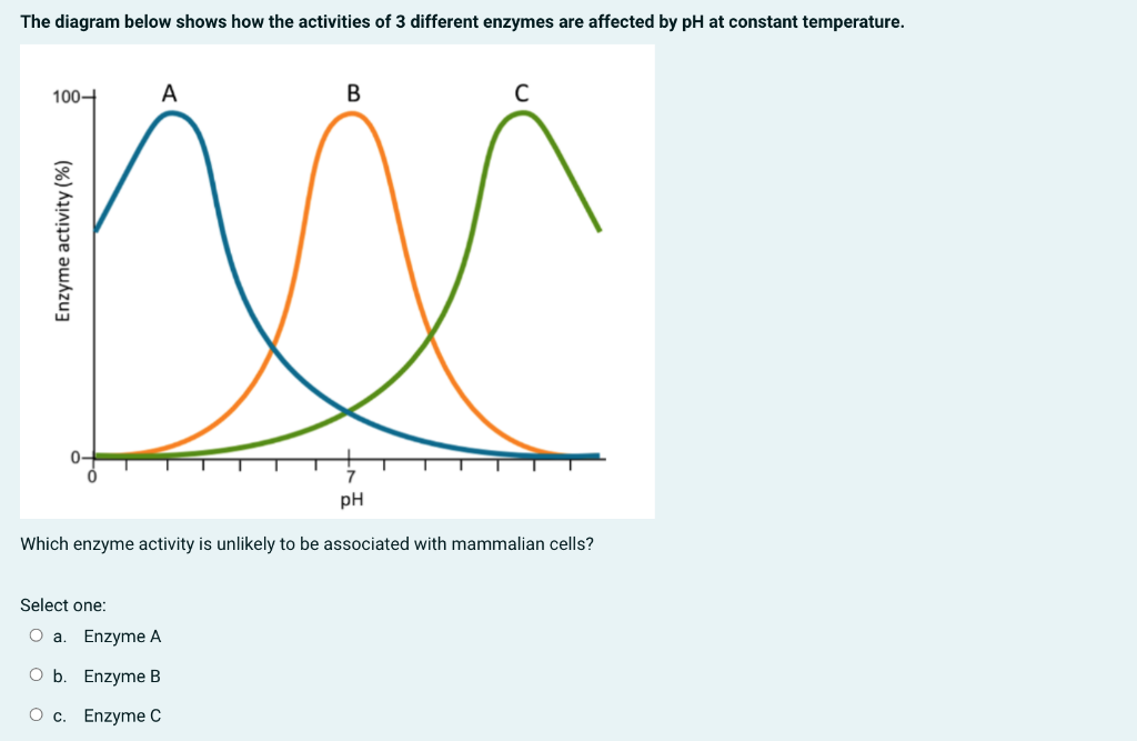 Solved The diagram below shows how the activities of 3 | Chegg.com