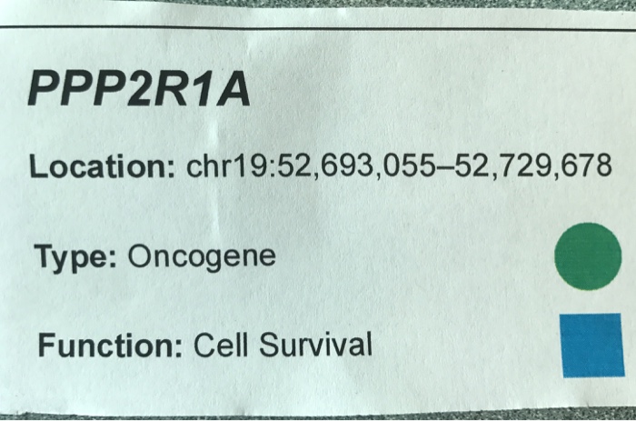 PPP2R1A Location: chr19:52,693,055-52,729,678 Type: | Chegg.com