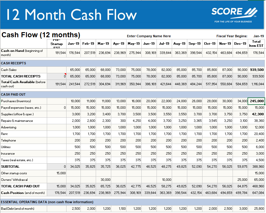 12 Month Cash Flow Example