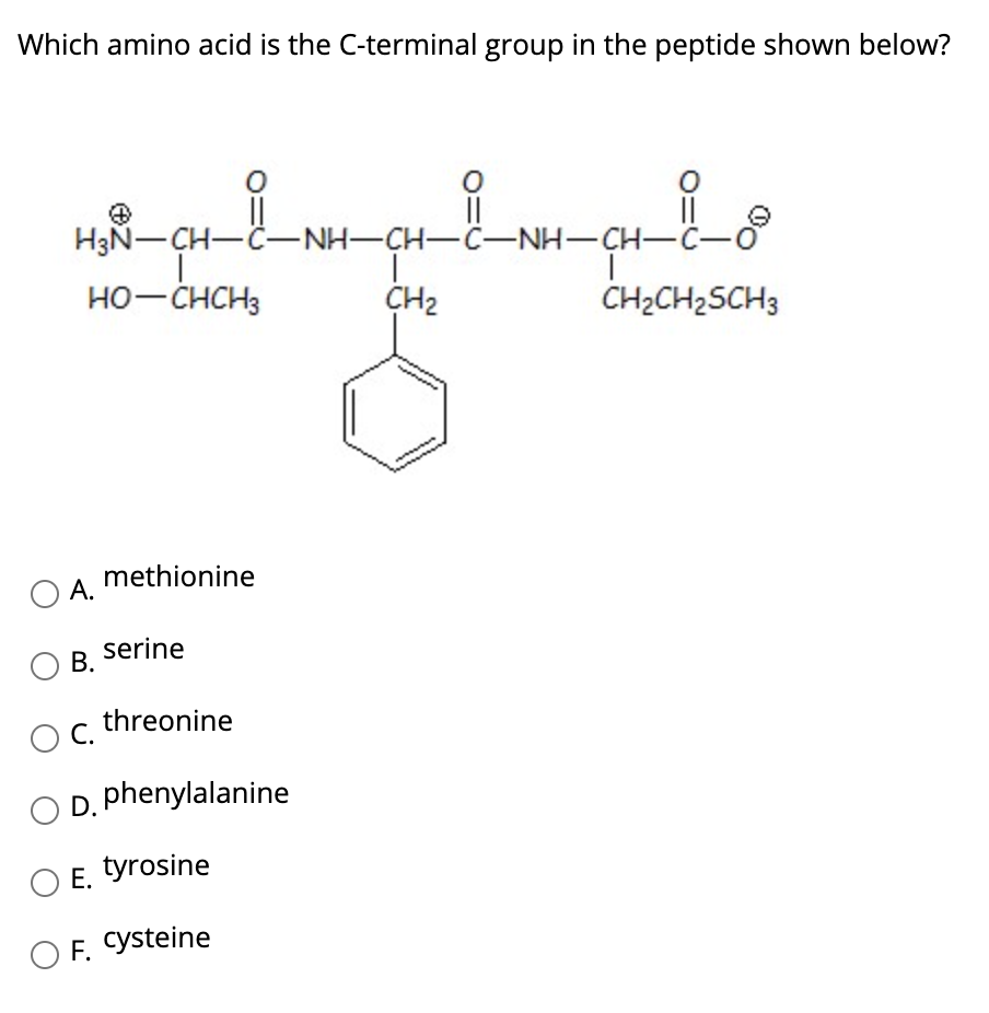 Solved Which amino acid is the C-terminal group in the | Chegg.com