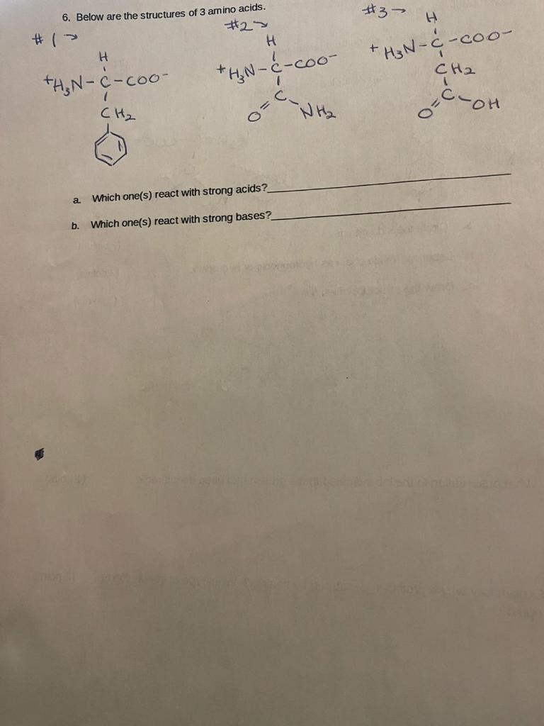 Solved Chemistry 106 Quiz Amino Acids and Proteins 1.