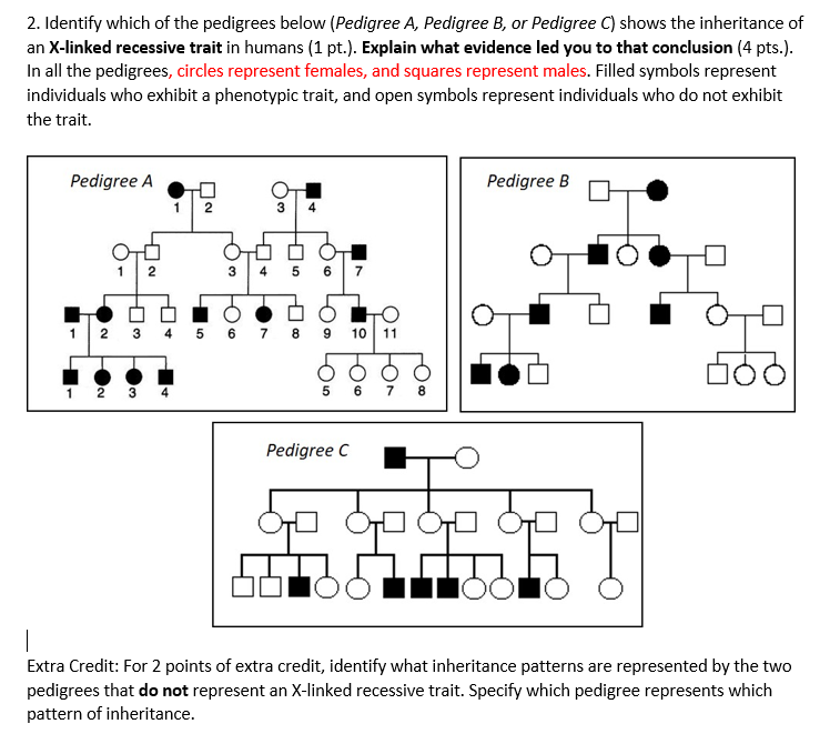 solved-2-identify-which-of-the-pedigrees-below-pedigree-a-chegg