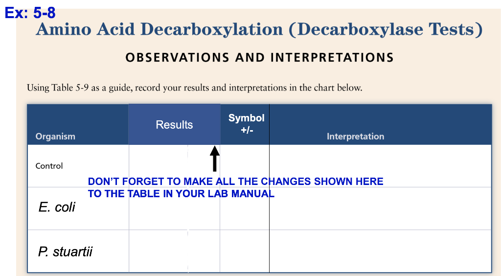 Solved Ex 58 Amino Acid Decarboxylation (Decarboxylase