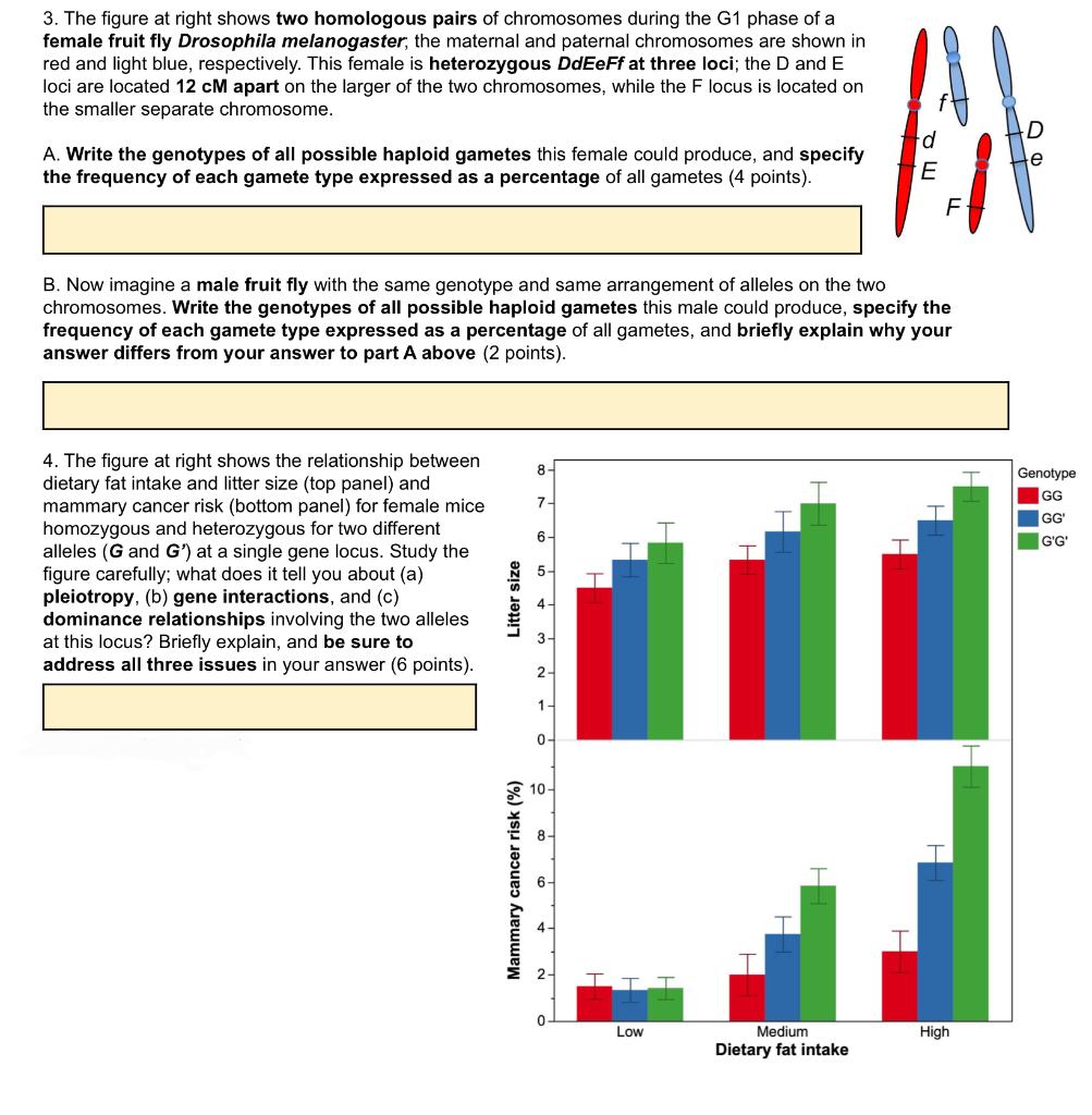Solved 3. The figure at right shows two homologous pairs of | Chegg.com