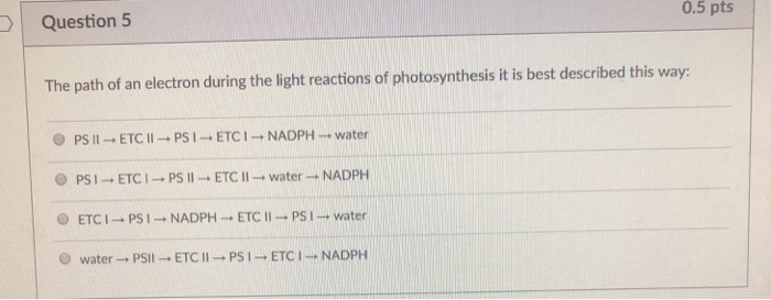 Solved Question 5 The path of an electron during the light | Chegg.com