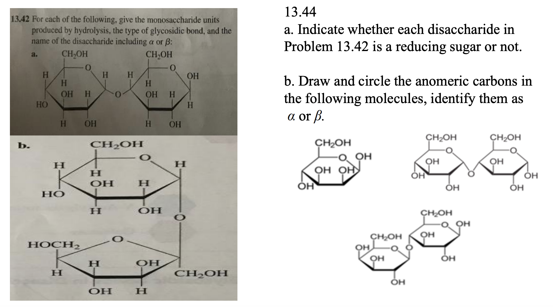 Choose The Monosaccharide Units Produced By Hydrolysis For The Disaccharide