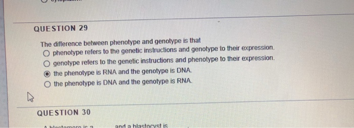 Solved QUESTION 29 The difference between phenotype and | Chegg.com