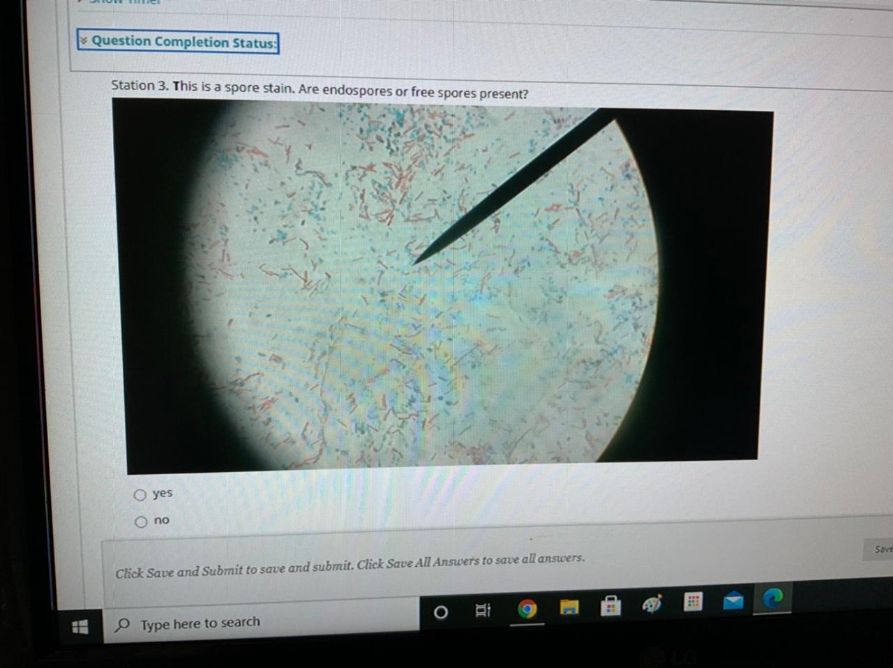 Solved QUESTION 1 Station 1. This is a gram stain. Is this | Chegg.com