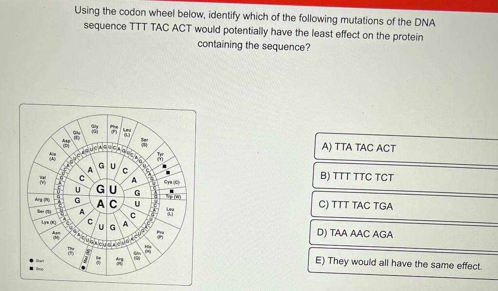 Solved Using the codon wheel below, identify which of the