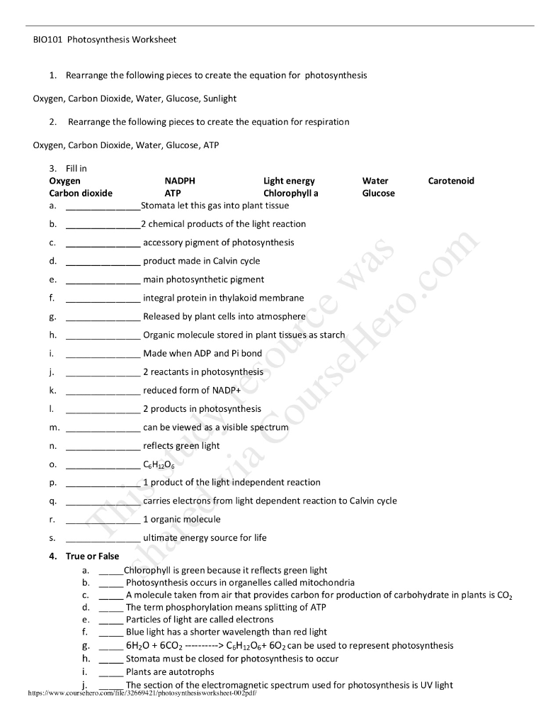 bioman biology photosynthesis interactive worksheet answers