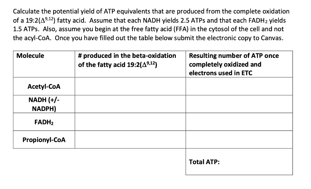 Calculate the potential yield of ATP equivalents that are produced from the complete oxidation of a 19:2( \( \left.\Delta^{9,