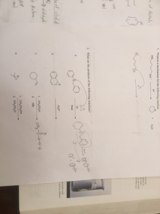 Solved Propose a mechanism for the following reaction: What | Chegg.com