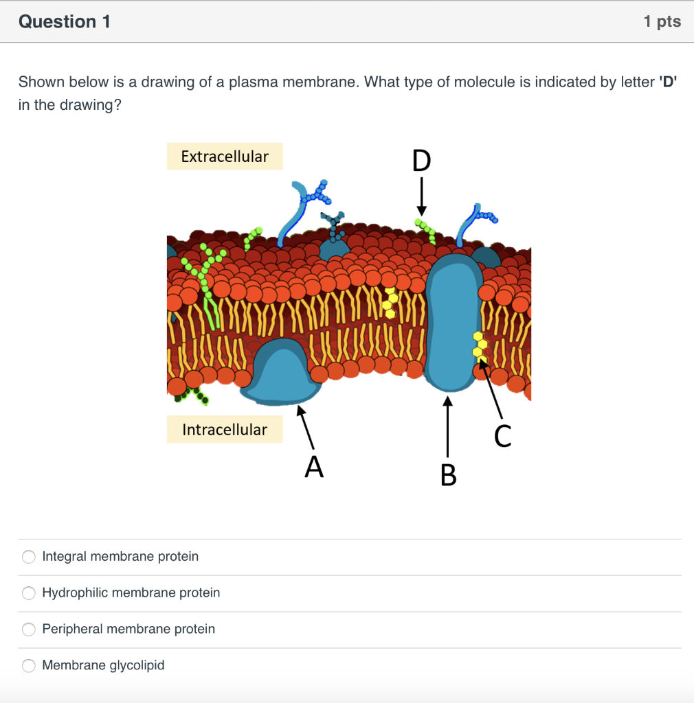 Solved Question 1 1 pts Shown below is a drawing of a plasma