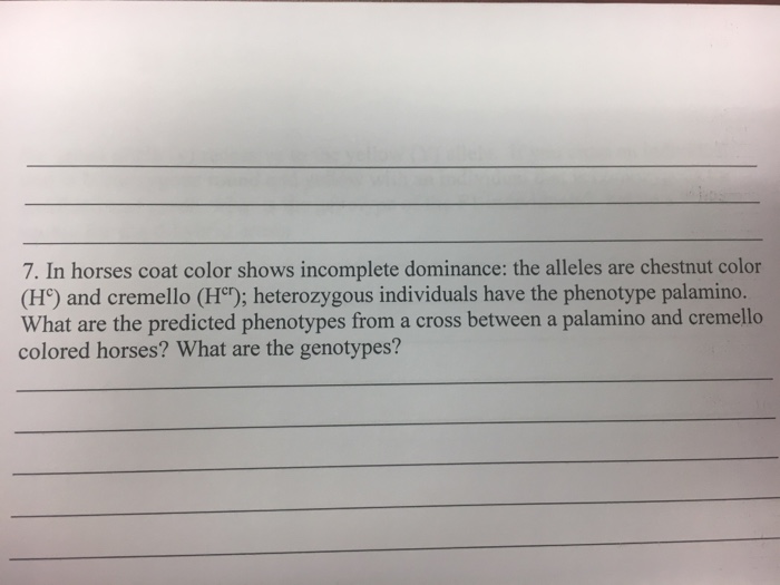 Solved In horses coat color shows dominance the