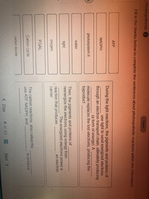 Solved Photosynthesis Fill In The Blanks Below To Com Plete Chegg