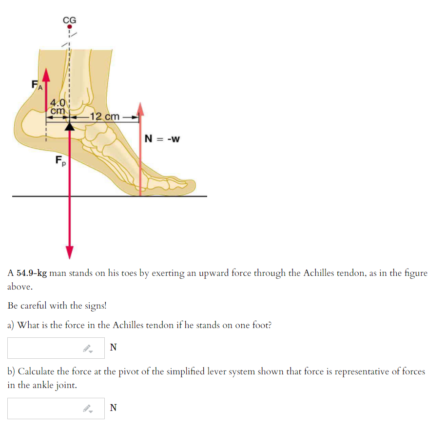 Solved A karate chop is more effective if one's hand A .