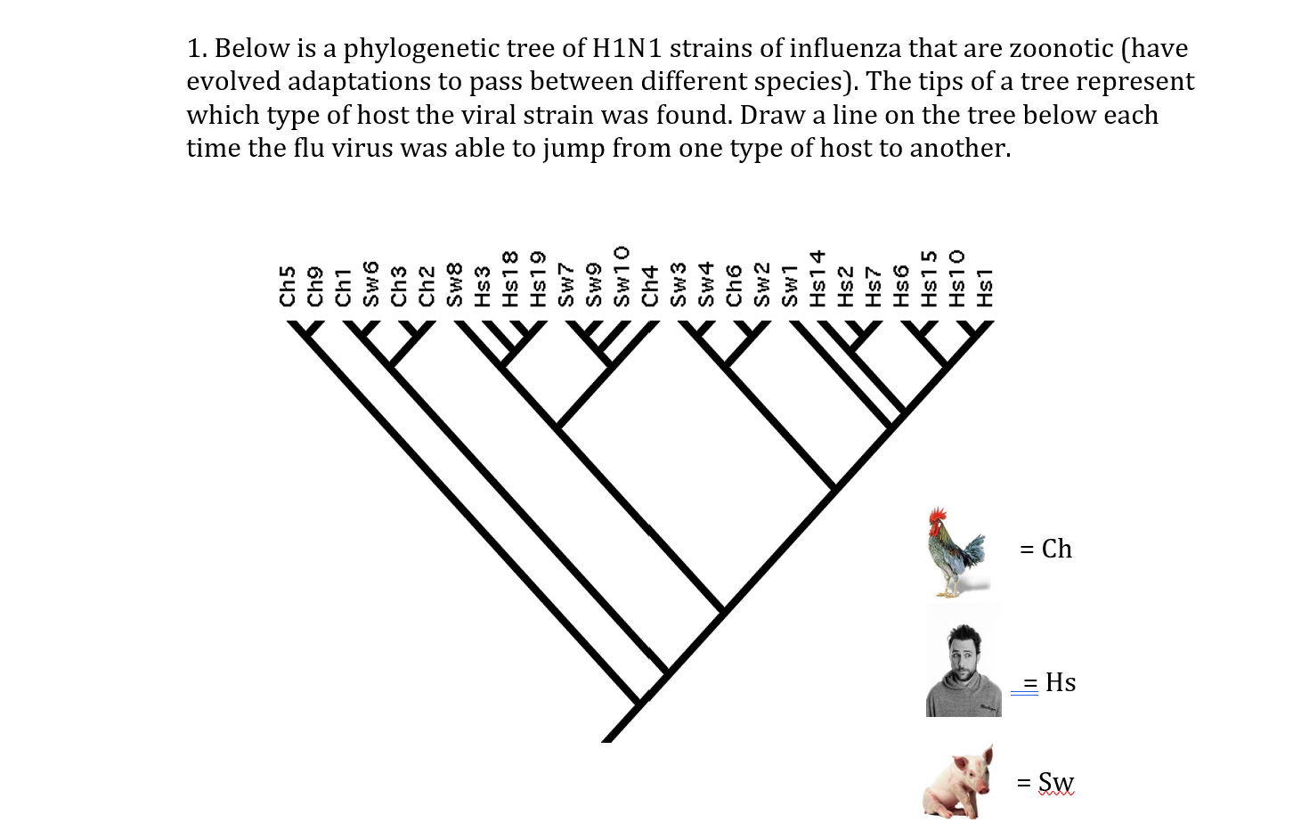 Solved Draw a line on the tree each time the flu virus was | Chegg.com