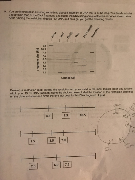 Solved 9. You are interested in knowing something about a | Chegg.com