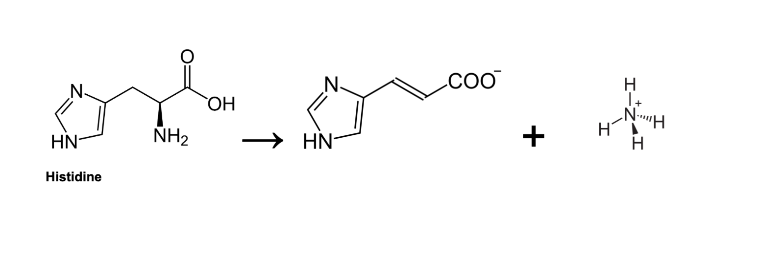 Solved draw the enzyme binding pocket and active site draw