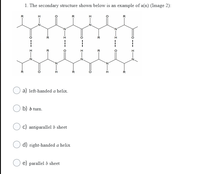 Solved 1. The secondary structure shown below is an example | Chegg.com