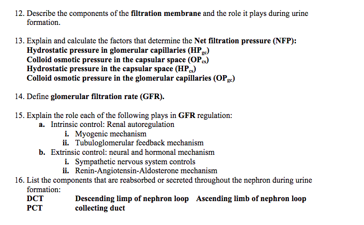 Solved 12. Describe the components of the filtration | Chegg.com