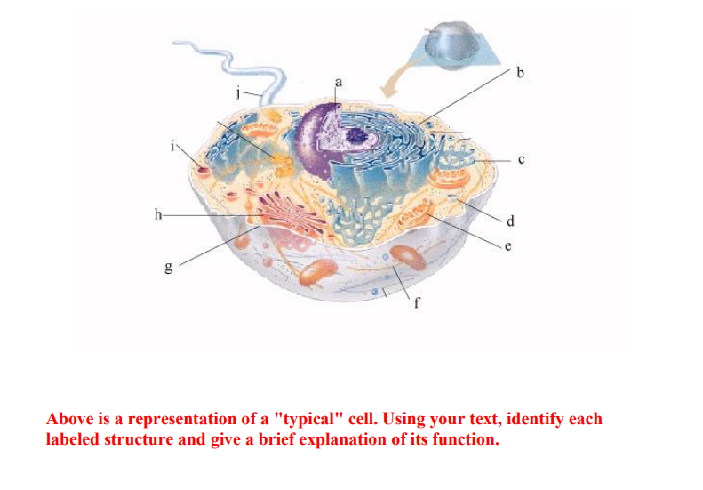 Solved Above is a representation of a 