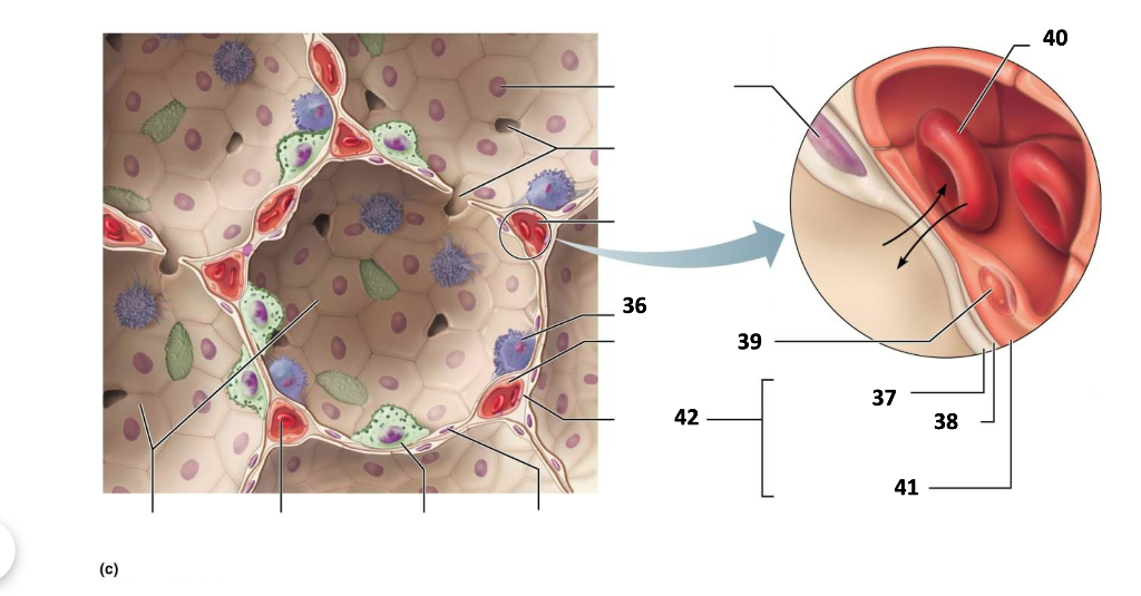 Solved (c) | Chegg.com