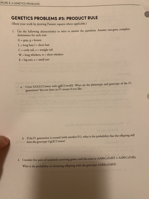 Solved RCISE 6-3 GENETICS PROBLEMS GENETICS PROBLEMS #5: | Chegg.com