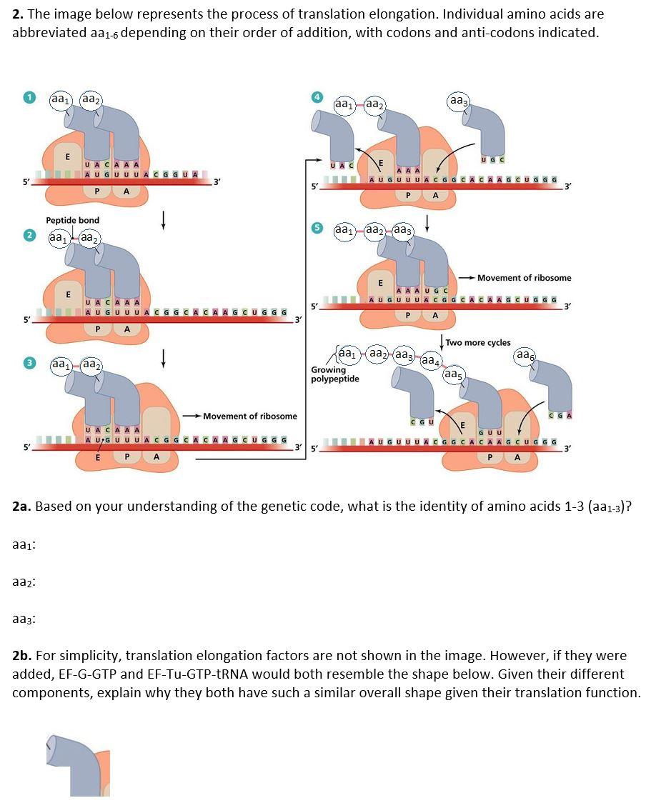 2. The Image Below Represents The Process Of 