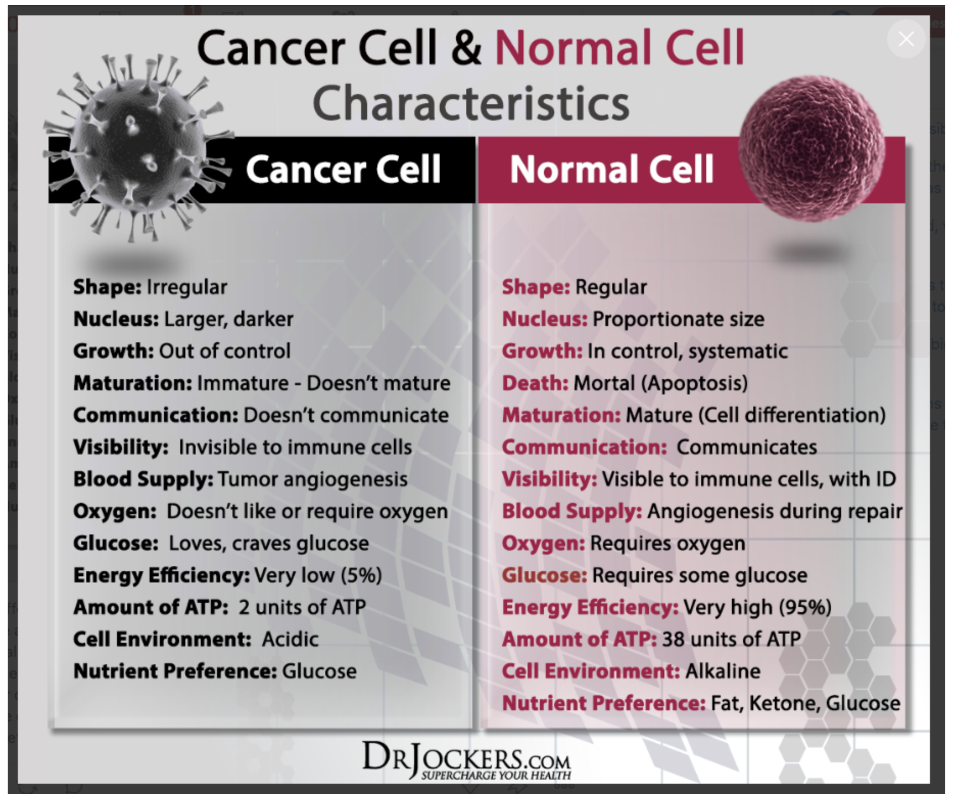 Solved NORMAL CELLS CANCEROUS CELLS Many cells that continue | Chegg.com