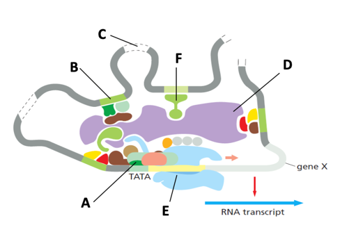 Solved a. Identify the process happening in the diagram on | Chegg.com