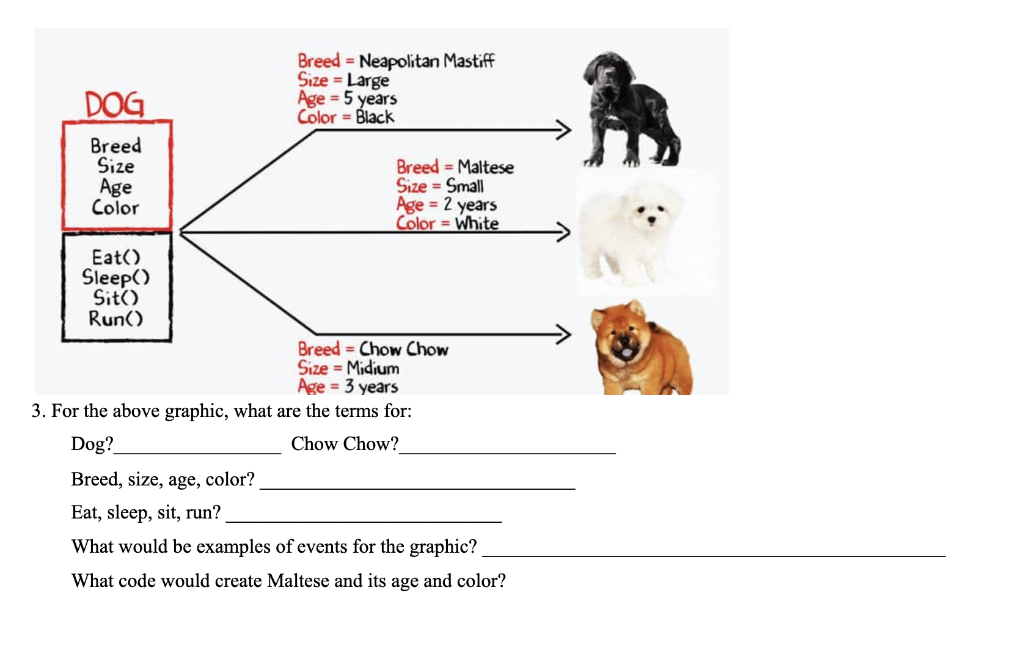 Large dog clearance breed size chart