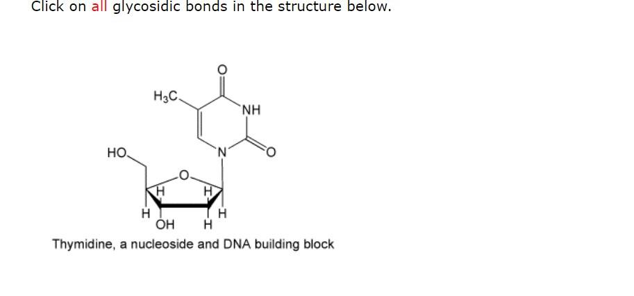 Click on all glycosidic bonds in the structure below.
Thymidine, a nucleoside and DNA building block