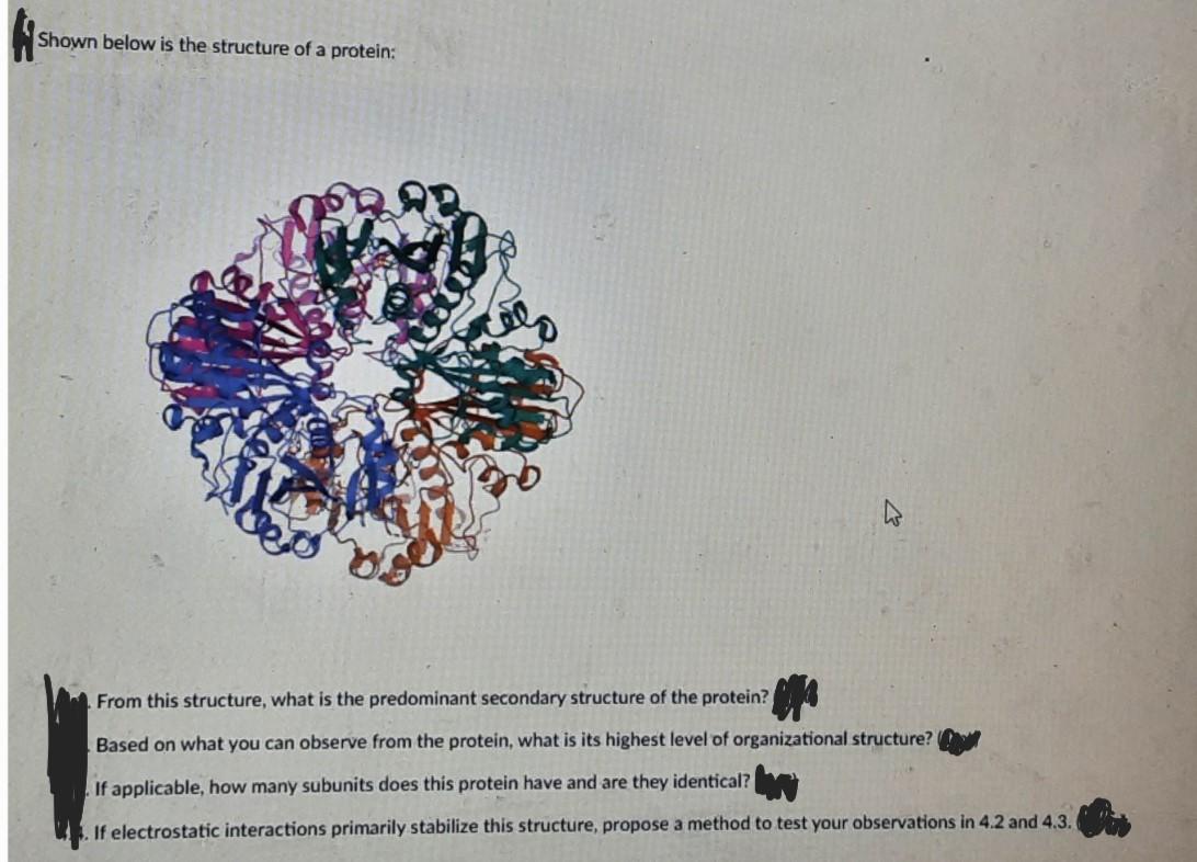 Solved Shown below is the structure of a protein: From this | Chegg.com