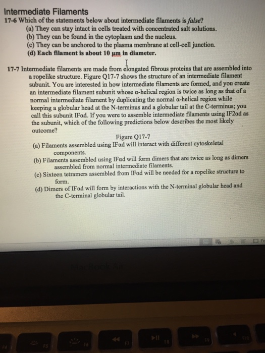 Solved Intermediate Filaments 17-6 Which of the statements | Chegg.com