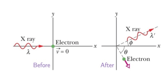 Solved An incident x-ray photon is scattered from a free | Chegg.com