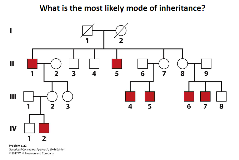 Solved What Is The Most Likely Mode Of Inheritance? | Chegg.com