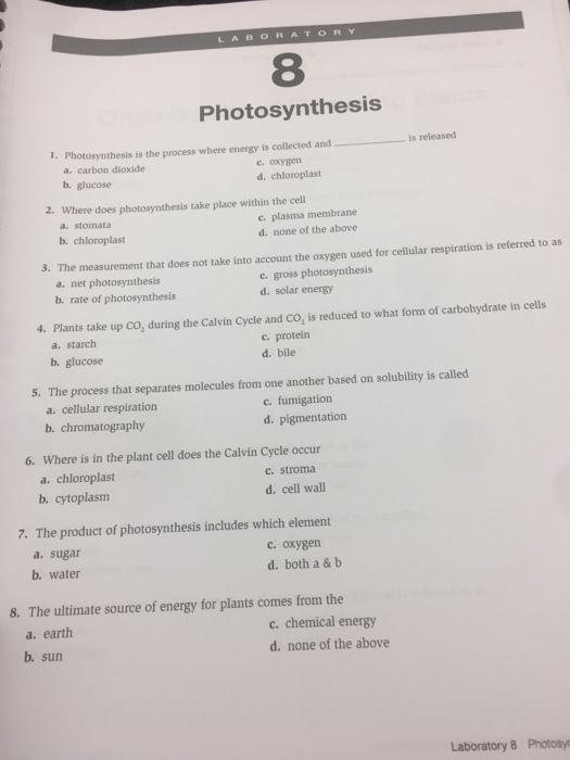 Solved LABORATORY 8 Photosynthesis treleased 1.