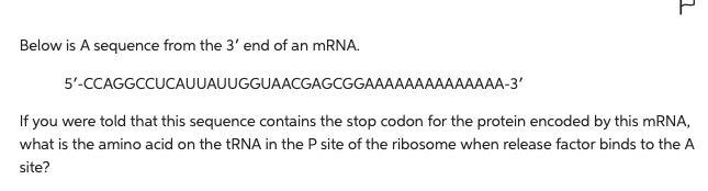 Solved Below is A sequence from the 3′ end of an mRNA. | Chegg.com