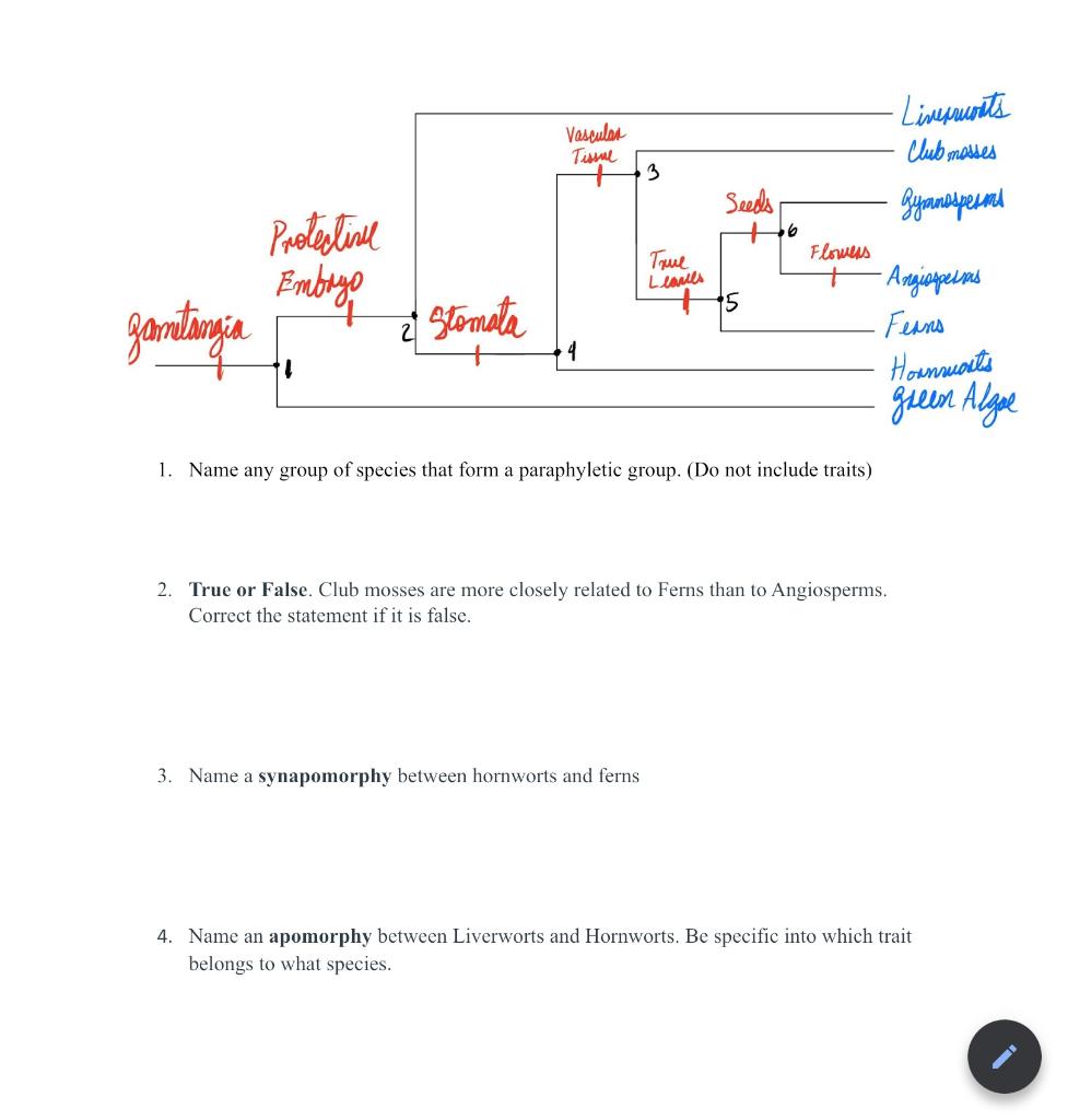 Solved Use the following phylogenetic tree to answer | Chegg.com